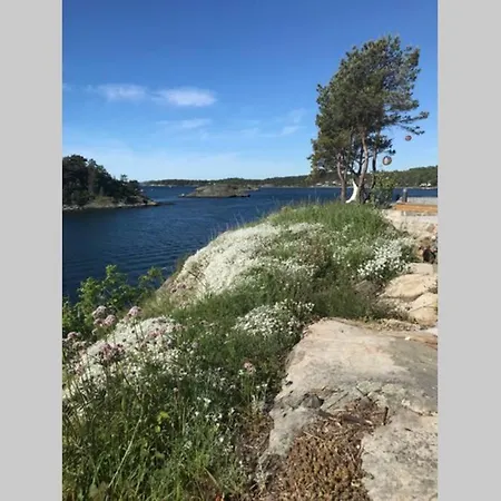 別荘 Hytte Helt Ved Sjoen, Brygge Og Fantastisk Utsikt